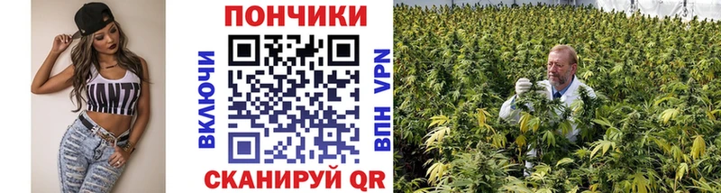 Конопля THC 21%  Купить где  Вятские Поляны 
